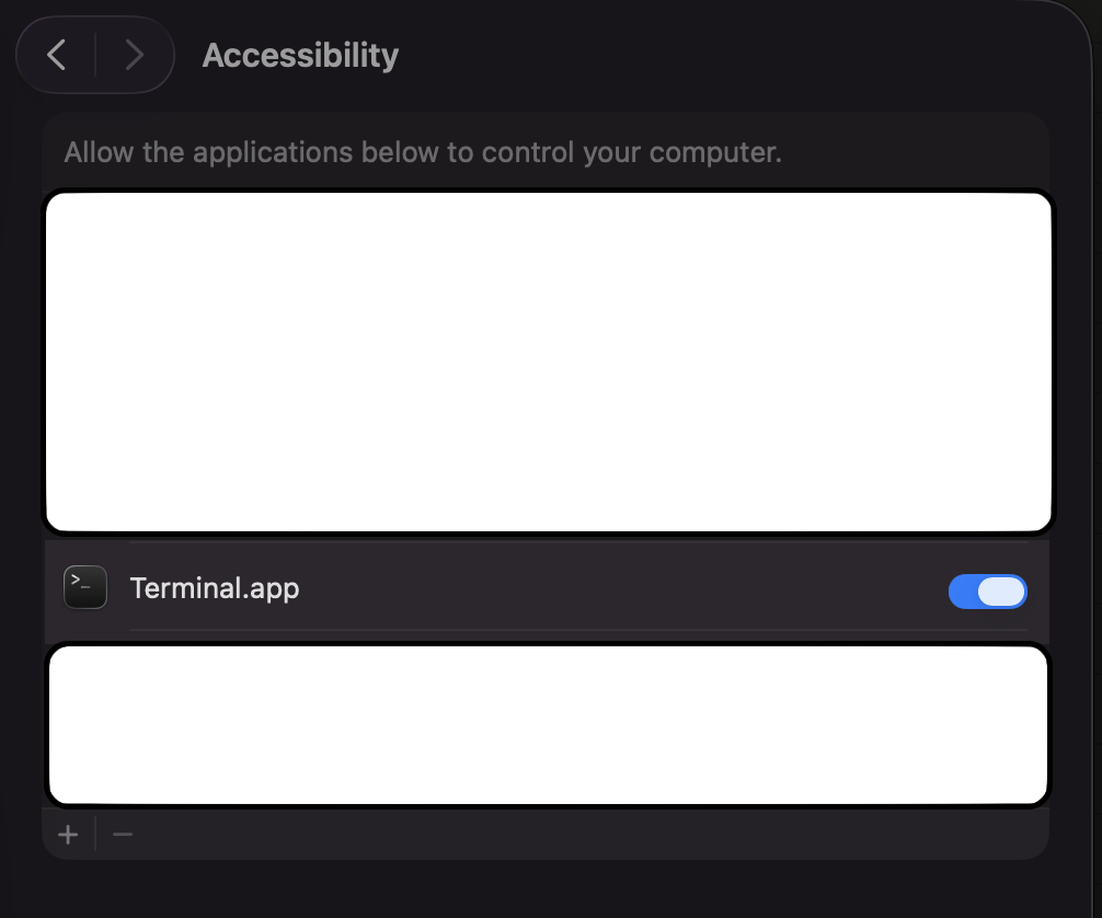 macOS Accessibility settings